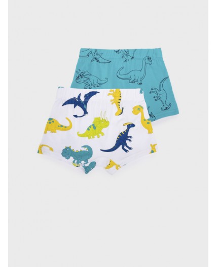 Трусы трикотажные для мальчиков - боксеры, 2 шт в комплекте разноцветный