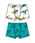 Трусы трикотажные для мальчиков - боксеры, 2 шт в комплекте разноцветный
