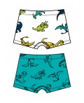 Трусы трикотажные для мальчиков - боксеры, 2 шт в комплекте разноцветный