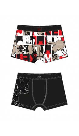 Трусы трикотажные для мальчиков - боксеры, 2 шт в комплекте разноцветный