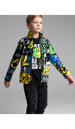 Толстовка флисовая для мальчика разноцветный