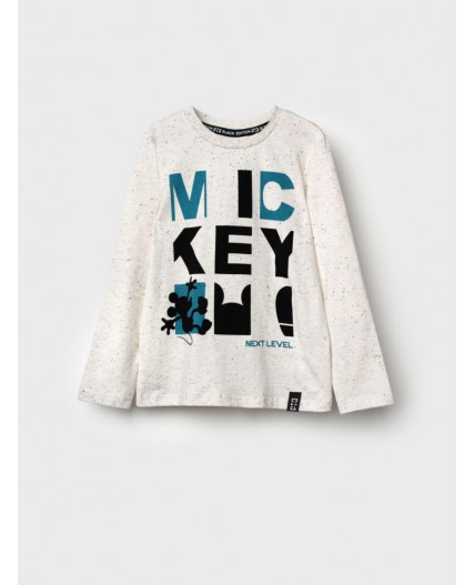 Фуфайка трикотажная для мальчиков (футболка с длинными рукавами) серый меланж