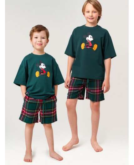 Комплект для мальчиков: фуфайка (футболка) трикотажная, шорты текстильные зеленый,красный