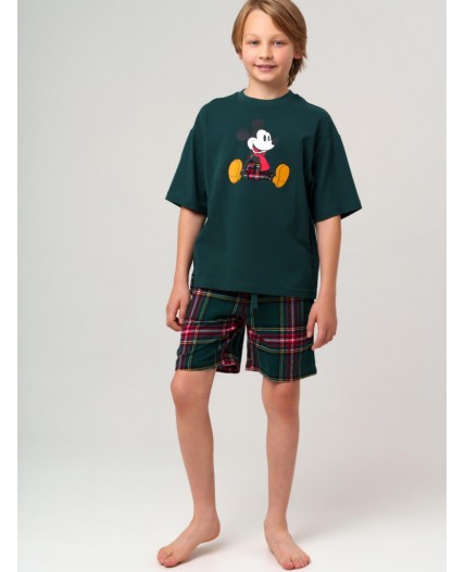 Комплект для мальчиков: фуфайка (футболка) трикотажная, шорты текстильные зеленый,красный