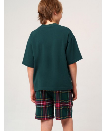 Комплект для мальчиков: фуфайка (футболка) трикотажная, шорты текстильные зеленый,красный