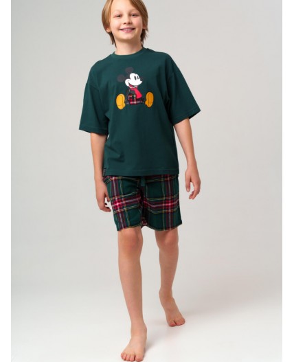 Комплект для мальчиков: фуфайка (футболка) трикотажная, шорты текстильные зеленый,красный