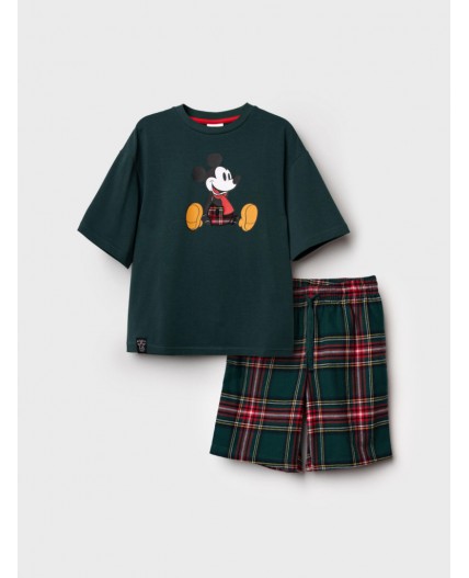 Комплект для мальчиков: фуфайка (футболка) трикотажная, шорты текстильные зеленый,красный