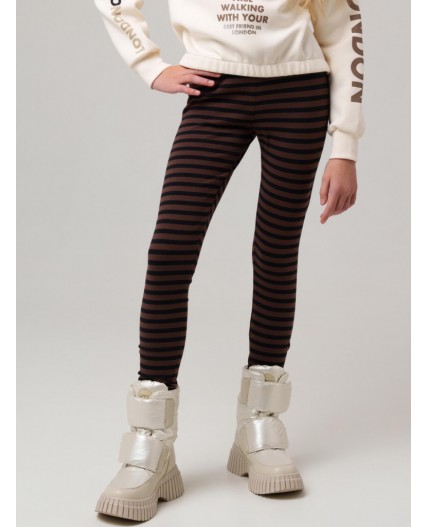 Брюки трикотажные для девочек (легинсы) черный,коричневый