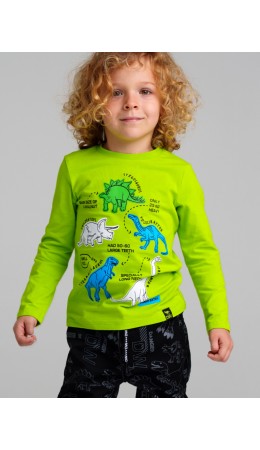Фуфайка трикотажная для мальчиков (футболка с длинными рукавами) светло-зеленый,разноцветный