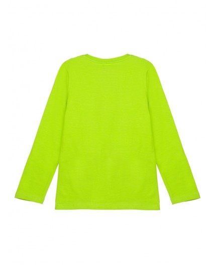 Фуфайка трикотажная для мальчиков (футболка с длинными рукавами) светло-зеленый,разноцветный