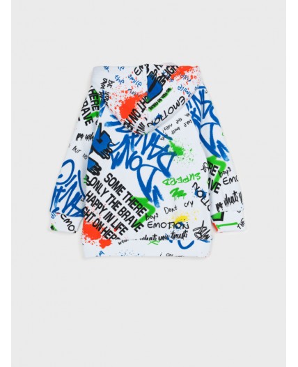 Толстовка трикотажная для мальчиков разноцветный