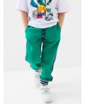 Брюки трикотажные для мальчиков green