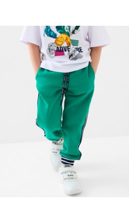 Брюки трикотажные для мальчиков green