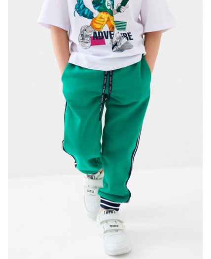 Брюки трикотажные для мальчиков green