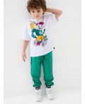 Брюки трикотажные для мальчиков green