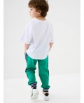 Брюки трикотажные для мальчиков green