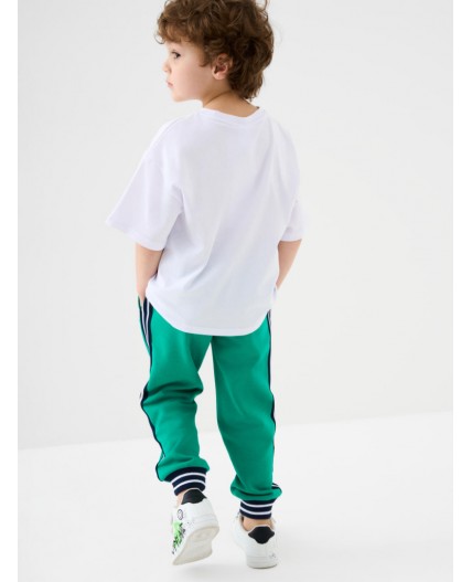 Брюки трикотажные для мальчиков green