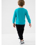 Брюки трикотажные для мальчиков black, turquoise