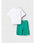 Комплект трикотажный для мальчиков: фуфайка (футболка), шорты white, green