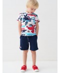 Шорты трикотажные для мальчиков, 2 шт в комплекте multicolor