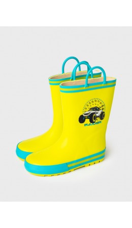 Сапоги резиновые для мальчиков зеленый,голубой
