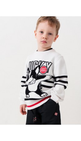 Джемпер трикотажный для мальчиков white, black, red