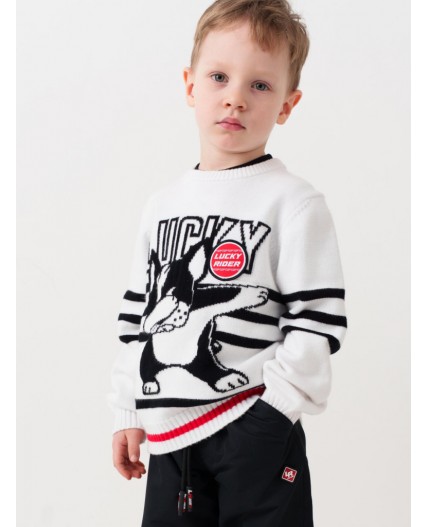 Джемпер трикотажный для мальчиков white, black, red