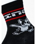 Носки трикотажные для мальчиков, 3 пары в комплекте white, black, red
