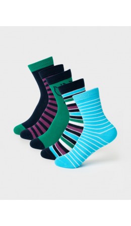 Носки трикотажные для мальчиков, 5 пар в комплекте multicolor