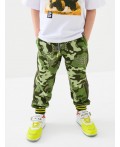 Брюки трикотажные для мальчиков dark green, green, light green