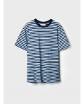 Фуфайка трикотажная для мужчин (футболка) white, dark blue, light blue