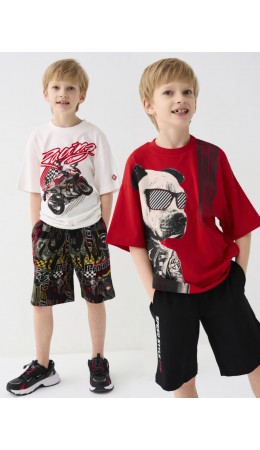 Шорты трикотажные для мальчиков, 2 шт в комплекте разноцветный