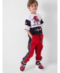 Брюки трикотажные для мальчиков black, red
