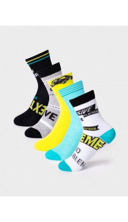 Носки трикотажные для мальчиков, 5 пар в комплекте multicolor