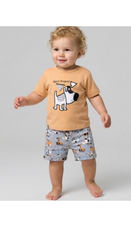 Комплект детский трикотажный для мальчиков: джемпер (футболка), шорты multicolor