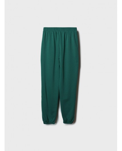 Брюки трикотажные для женщин green