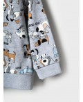 Комплект детский трикотажный для мальчиков: толстовка, брюки multicolor