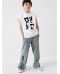 Брюки трикотажные для мальчиков grey