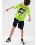Комплект трикотажный для мальчиков: фуфайка (футболка), шорты black, light green