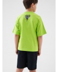 Комплект трикотажный для мальчиков: фуфайка (футболка), шорты black, light green