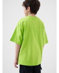 Фуфайка трикотажная для мальчиков (футболка) light green