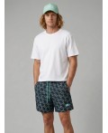 Шорты текстильные плавательные для мужчин, средней длины light green, double black