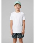 Шорты текстильные плавательные для мальчиков, средней длины light green, double black
