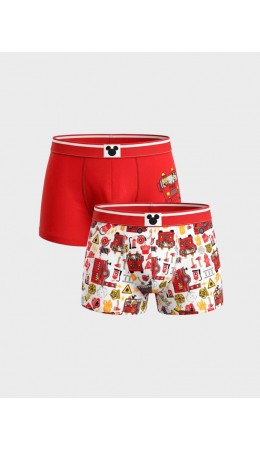 Трусы трикотажные для мальчиков - боксеры, 2 шт в комплекте multicolor