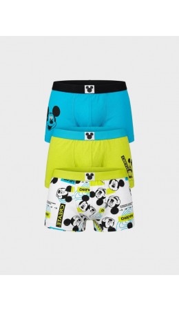Трусы трикотажные для мальчиков - боксеры, 3 шт в комплекте multicolor