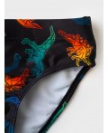 Плавки трикотажные для мальчиков multicolor
