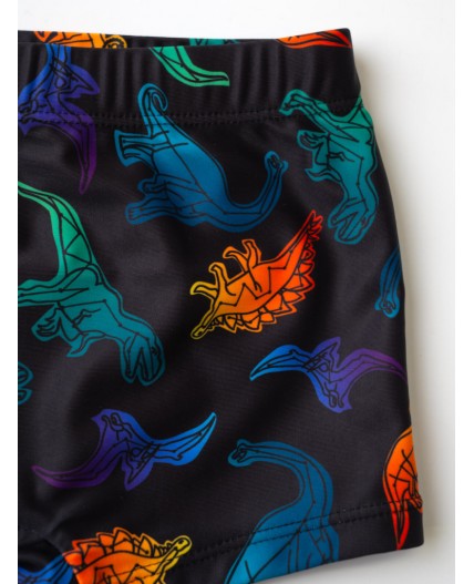 Плавки-шорты трикотажные для мальчиков, короткие multicolor