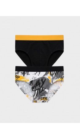 Трусы трикотажные для мальчиков - брифы, 2 шт в комплекте multicolor