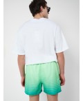 Шорты текстильные плавательные для мужчин, длинные white, light green