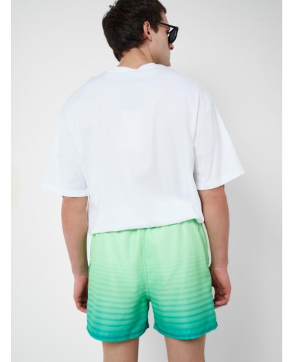 Шорты текстильные плавательные для мужчин, длинные white, light green
